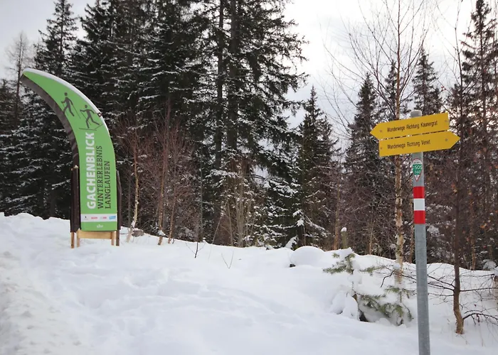 Burg Biedenegg- Schrofenstein By Interhome * Alterzoll